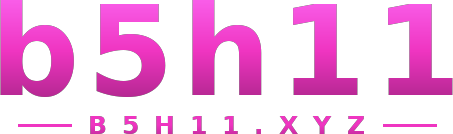 b5h11 logo